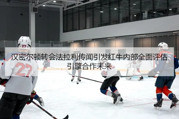han-mi-er-dun-zhuan-hui-fa-la-li-chuan-wen-yin-fa-hong-niu-nei-bu-quan-mian-ping-gu-yin-qing-he-zuo-wei-lai-2-135.jpg